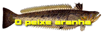 http://www.katembe.com.pt/aranha.htm