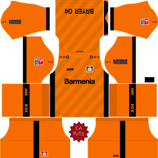 Carte D'Équipe Officielle Bayer Leverkusen 2019-20 - Sans Signature - Bon État - Collection Football