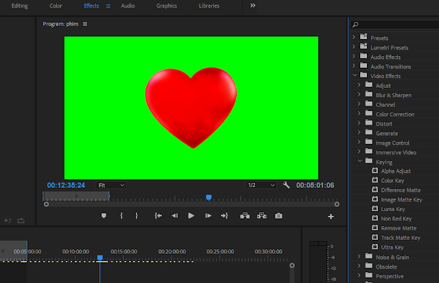 Hướng dẫn xử lý bỏ phong xanh lá cây nhanh nhất trong Adobe Premiere