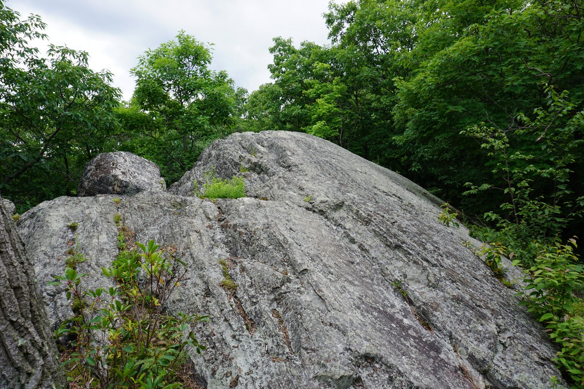 Harriman Hiker Harriman State Park and Beyond The Timp Shortest Trail