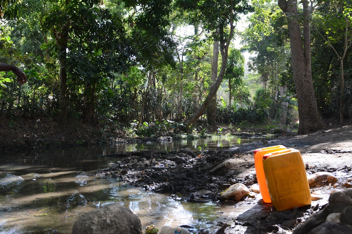 Postcards From Lauren