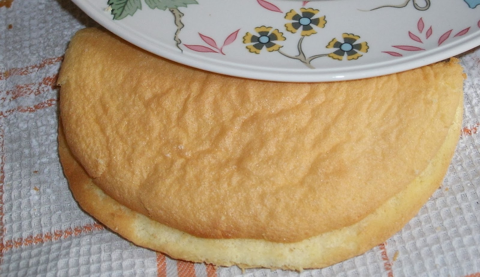 backe-backe-kuchen: Biskuit- Omelette mit Mandarinen und Pistazien