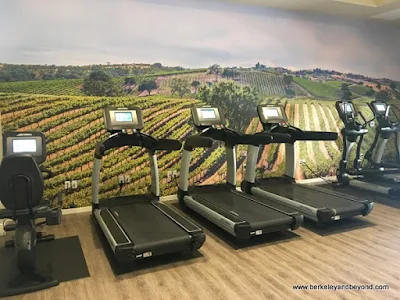 fitness room at Allegretto Vineyard Resort in Paso Robles, California