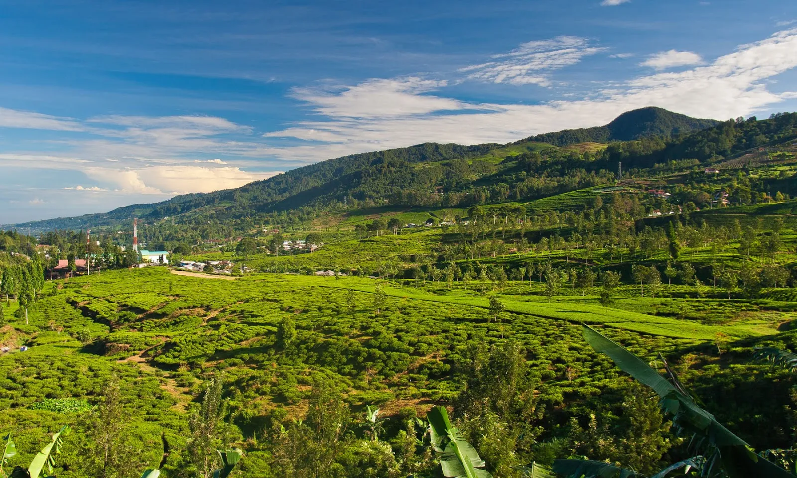 Menjelajah Keindahan: Tempat Wisata di Bogor yang Wajib Dikunjungi