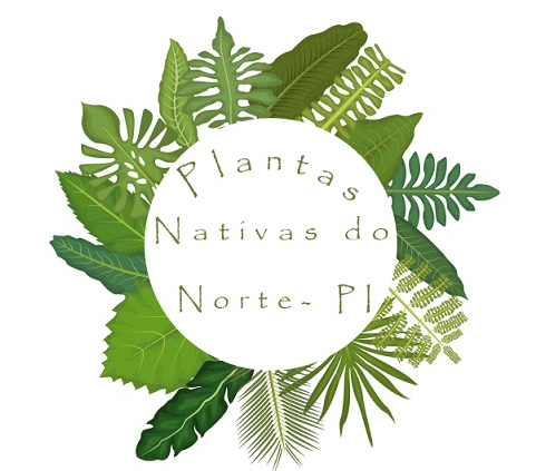 Plantas Nativas do Norte - PI