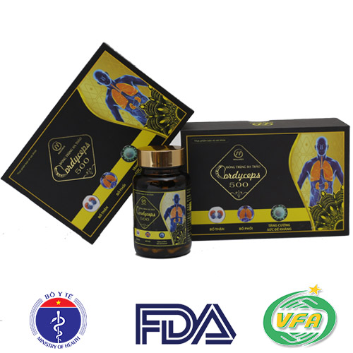 Đông Trùng Hạ Thảo Cordyceps 500