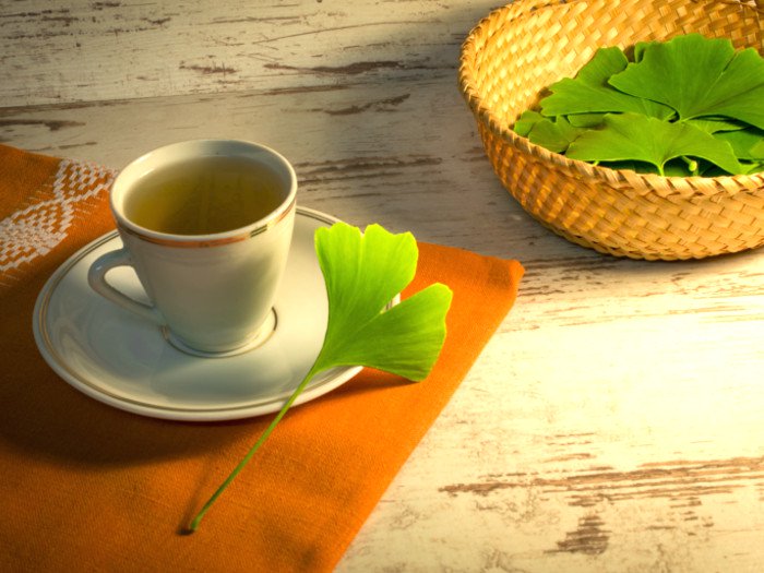 Surprising Benefits of Ginkgo Biloba Tea FOW 24 NEWS