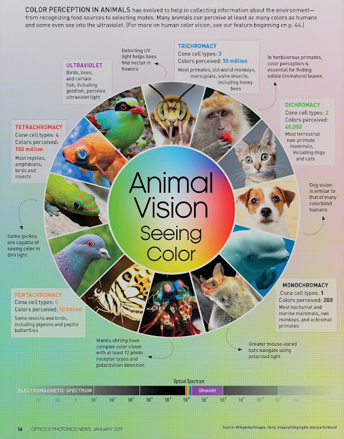 How Animals See The World? (Infographic) SardarJiFactSite