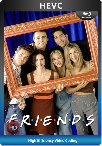 Friends (1999) S06 1080p BDRip Dual Latino-Inglés [HEVC-10bit] [Subt. Esp] (Serie De TV. Comedia)