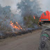 'Jornal da Band' apresenta série sobre incêndios no Pantanal