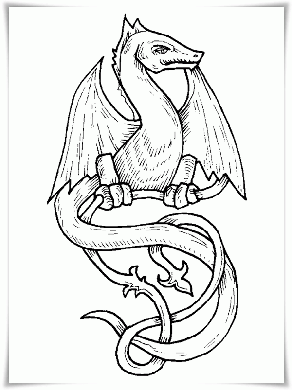 Ausmalbilder zum Ausdrucken: Ausmalbilder Drachen