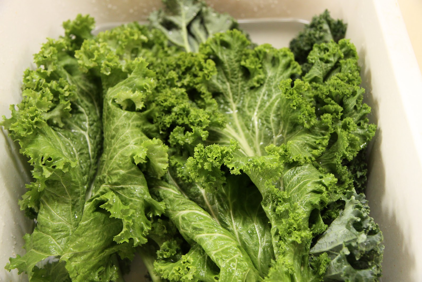 Salvation Sisters Linda's Kale and Mustard Greens Chips