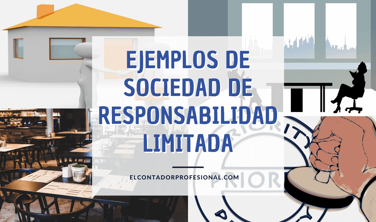 sociedad de responsabilidad limitada ejemplos