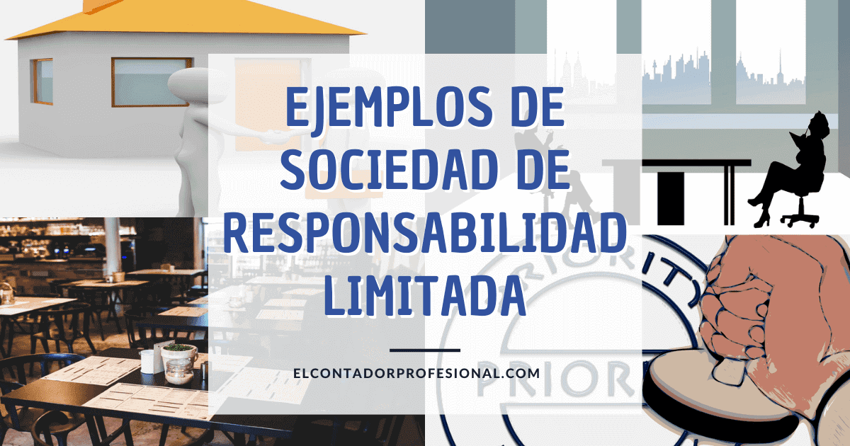Ejemplos de la Sociedad de Responsabilidad Limitada - Contador Profesional