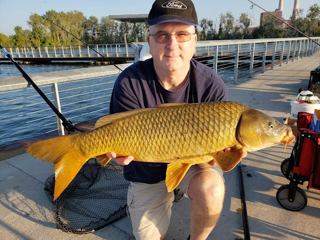 Detroit River carp