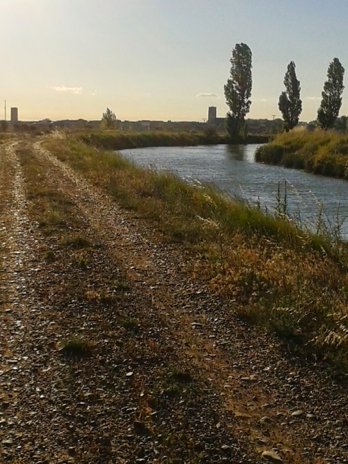 Desde la orilla del canal