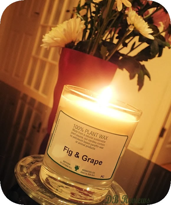 Fig & Grape Pot Candle from Amphora Aromatics DB Reviews UK