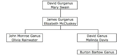 David Gurganus, Mary Swain, James Gurganus, Elizabeth McCluskey, David Ganus, Malinda Ganus, John Monroe Ganus, Burton Bartow Ganus, Whitfield Georgia, Chattanooga, Chattanooga Public Library, Family History, Genealogy, Ancestry.