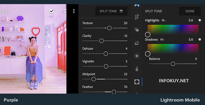 Rumus Lightroom Purple Tone Enak Dilihat Infokuy