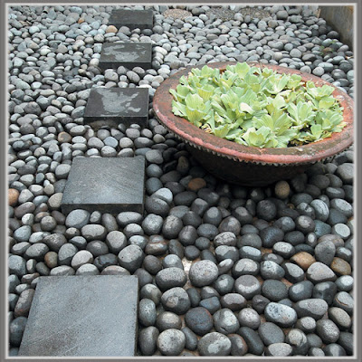 Membersihkan batu koral taman minimalis dalam rumah Layanan Jasa