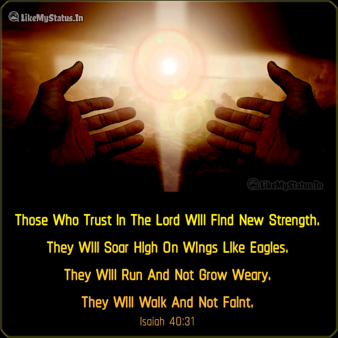 Those Who Trust In The Lord... Inspirational Bible Verse...