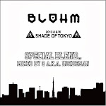 BLOHM 2013 A & W "SHADE OF TOKYO" Mixed  by Q  a.k.a. INSIDEMAN