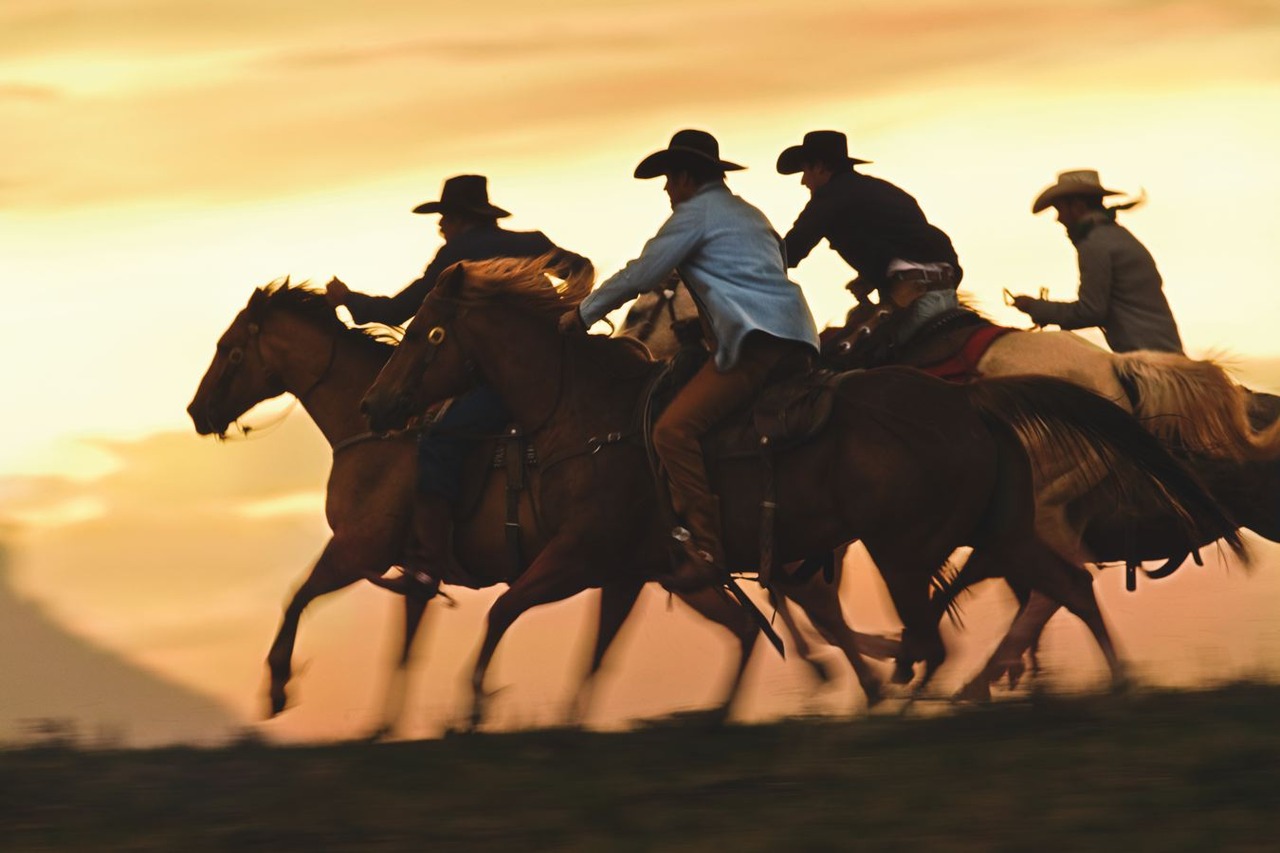 вестерн лошади ковбой. ковбои дикого запада. ковбои родео дикий запад art.