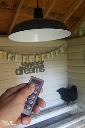 coop chicken lights less light electricity than