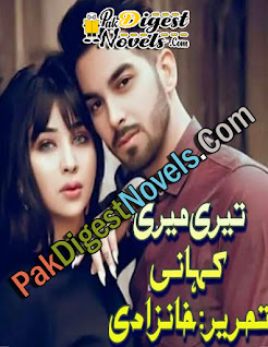 Teri Meri Kahani Complete Novel By Khanzadi