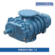 Máy thổi khí robuschi RBS 75