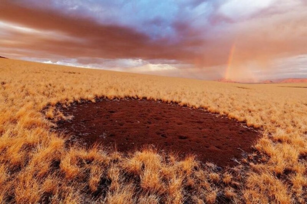 Кругом было пустынно. Ведьмины круги пустыни Намиб. Ведьмины круги в Намибии. Круги пустыни Намиб. Пустыня Намиб загадочные круги.