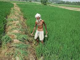 How to apply for land inheritance change online?
