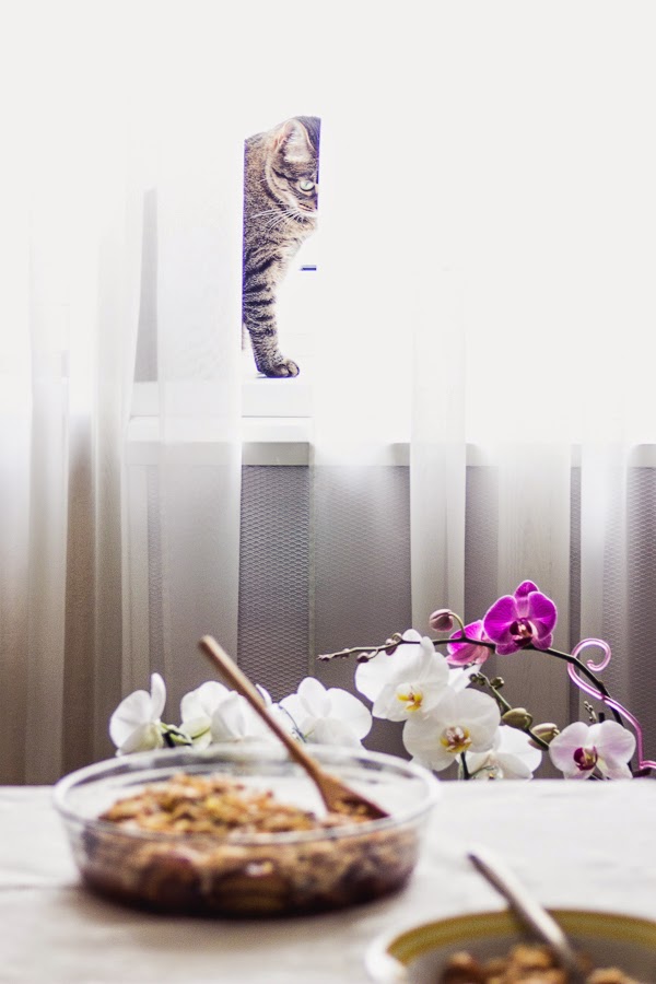 Brown Rice Pudding with Roasted Plums This is a Sweet Blog Brown