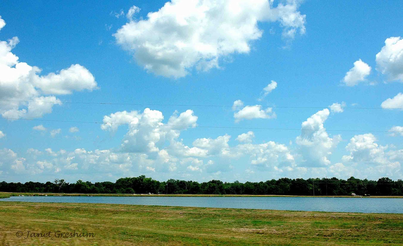 Selma, Ala. Daily Photo Catfish Country