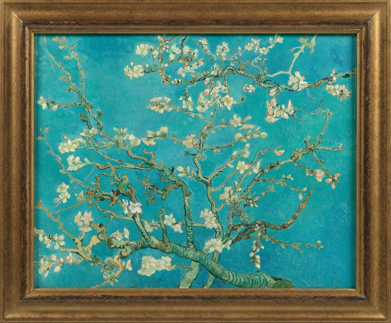 Картина миндаль. Винсент Ван Гог ветка миндаля. Винсент Ван Гог цветущие ветки миндаля 1890. Цветущие ветки миндаля Ван Гог оригинал в музее. Ван Гог миндальное дерево оригинал.