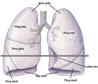 Một số câu hỏi cơ bản về lâm sàng hô hấp