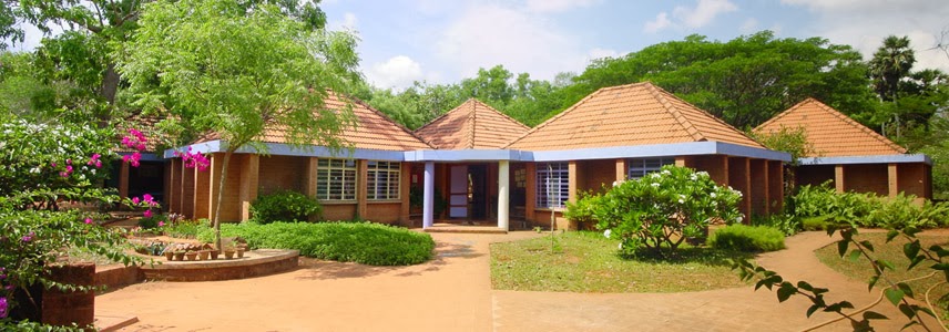 Kindergarten architecture thesis picture