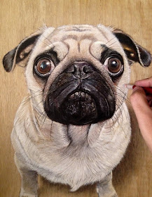 15-Ashley-The-Pug-Ivan-Hoo-Animals-Translated-to-Realistic-Drawings-www-designstack-co