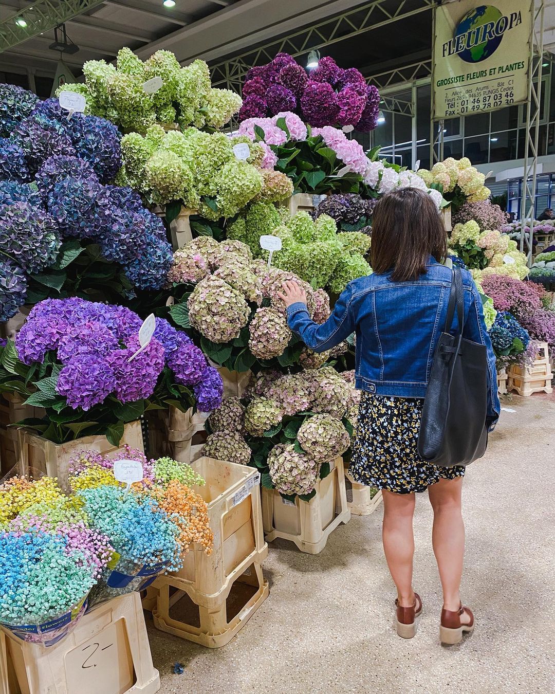 Pasar Bunga terbesar di Paris Rungis