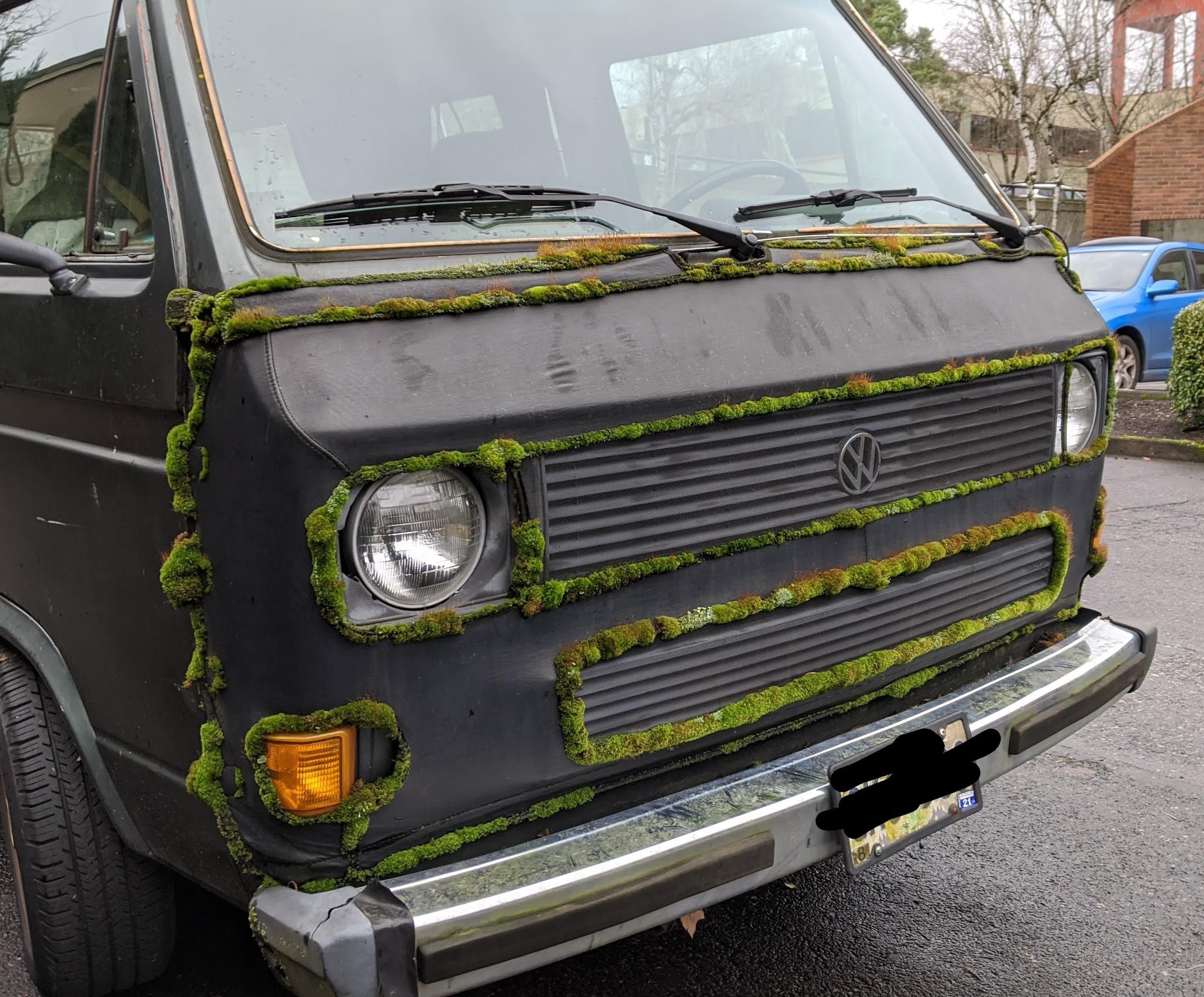 Just A Car Guy this moss has to have been inserted in the panel gaps