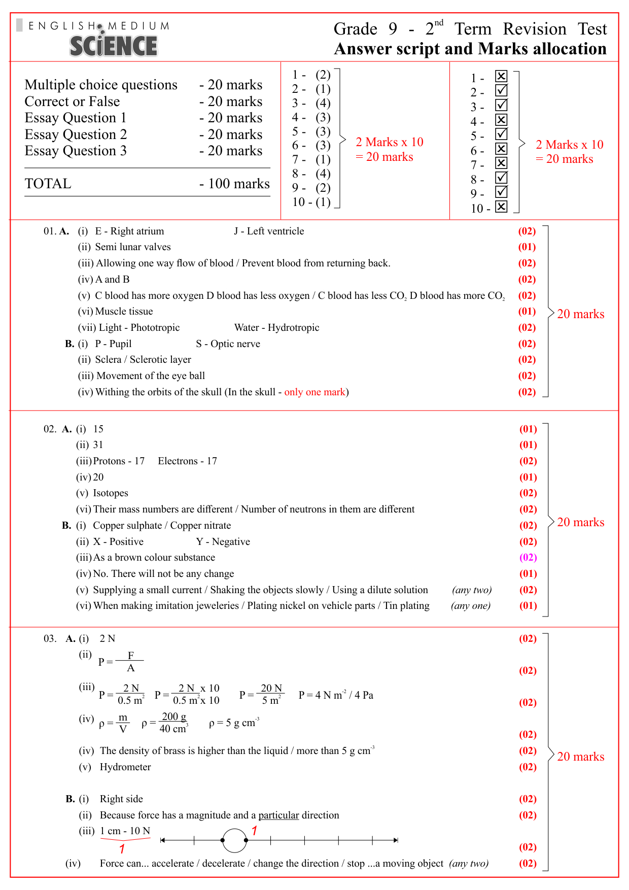 grade 9 maths assignment term 2 answers