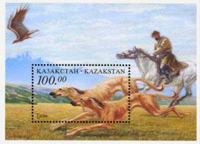 казахская овчарка тазы