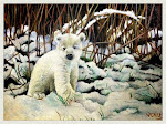 Polar bear_winter