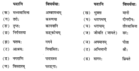 NCERT Solutions for Class 10 Sanskrit Shemushi Chapter 12 अनयोक्त्यः