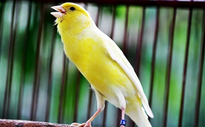 Blog Archives Globalefira