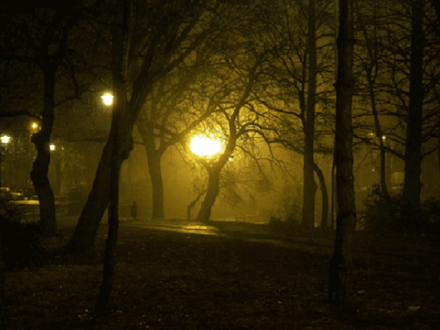 [2] Puisi Renungan Untuk Diri Sendiri