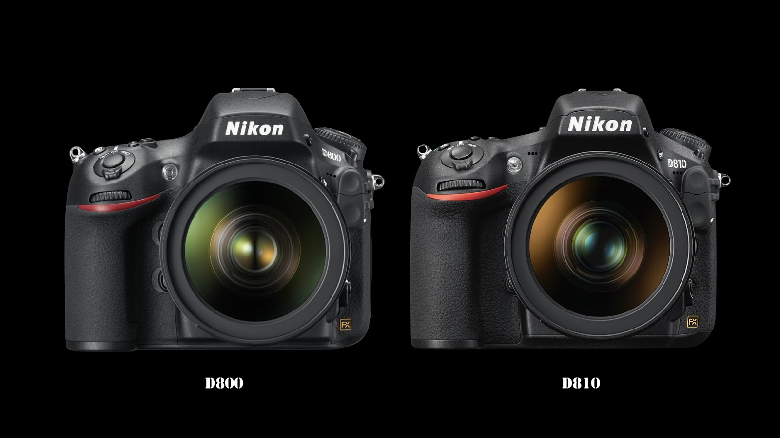 BLOG: ニコン、Nikon D810を発表 | 画力一新 | 最高画質は、未踏の撮影領域へ。