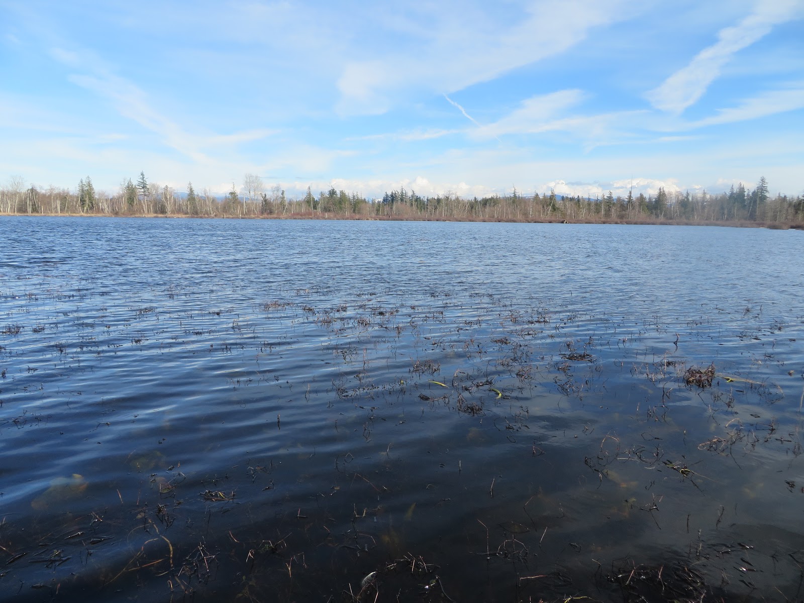 Exploring County & Beyond Tennant Lake Boardwalk Trail