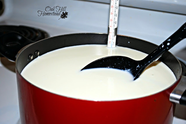 A red pot on a white electric stove, full of milk, with a black spoon and and a cheese thermometer