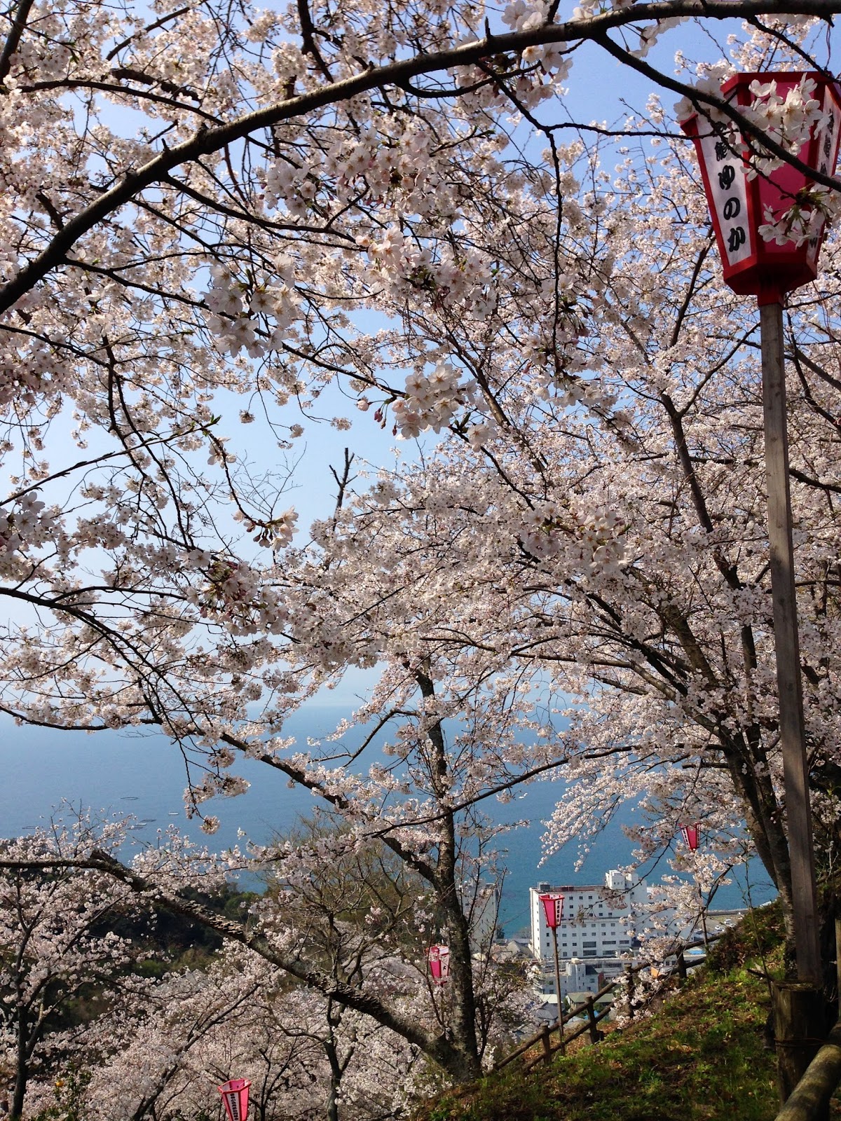 Dream Tours Japan Cherry Blossom Viewing Nagasaki Prefecture